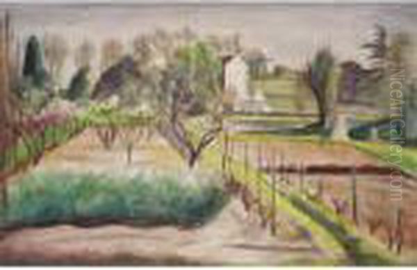 The Kitchen Garden - view 1
