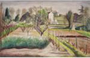 The Kitchen Garden