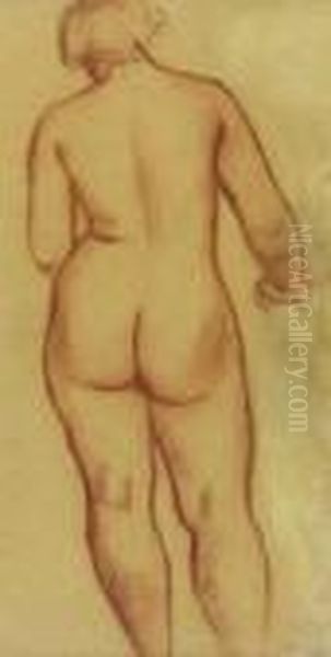 Female Nude From The Back - view 1