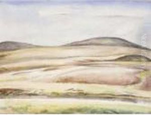 Landscape Landscape