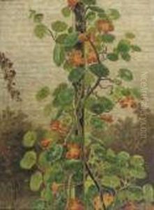 Flowering Oostindische Kers by Hendrik Willem Mesdag