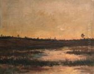 An Evening View Of A Boggy Landscape In Drente