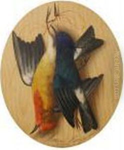 Still Life Of Birds by Michaelangelo Meucci