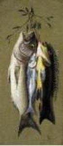 Nature Morte Con Pesci