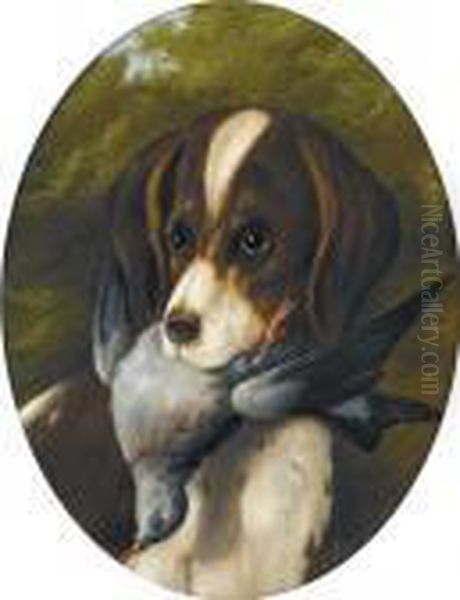 Jagdhund Mit Taube Im Fang. - view 1