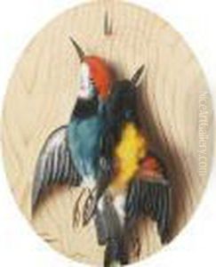 Still Lifes Of Birds, A Pair by Michaelangelo Meucci