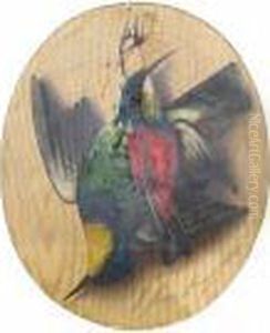 A Still Life With Hanging Birds by Michaelangelo Meucci
