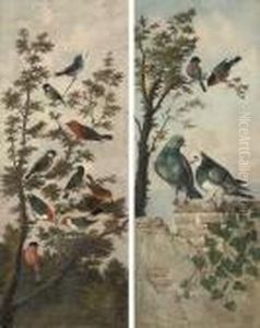Songbirds In A Tree; And Pigeons On A Wall, With Birds In A Tree by Michaelangelo Meucci