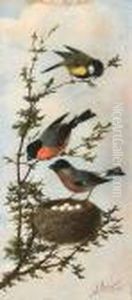 Oiseaux Sur Une Branche.