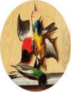 Singvogel