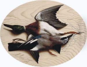 A Mallard And A Jay A Mallard And A Jay