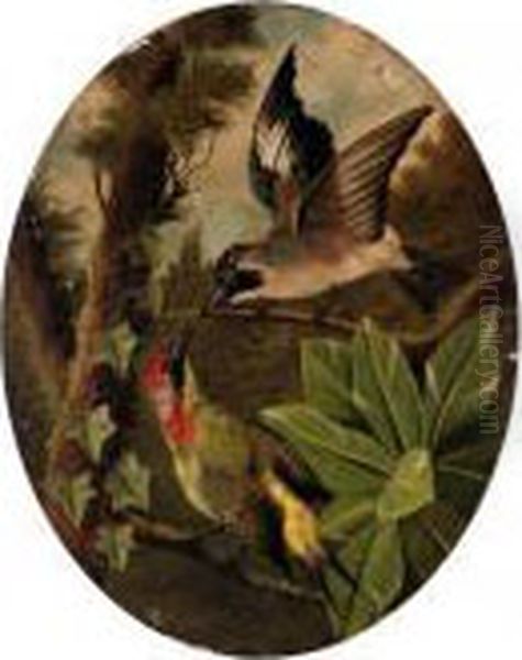 Two Birds - view 1