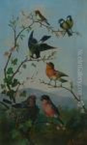 Songbirds