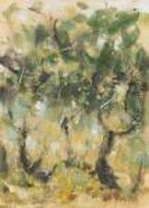 Vegetazione