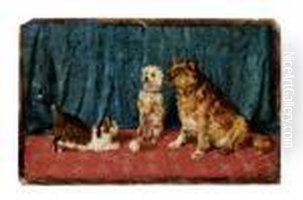Due Cani E Una Gatta - view 1