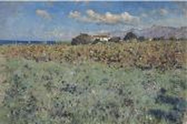Paesaggio - view 1