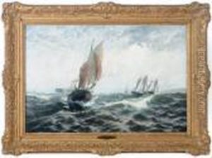 Northward, For The Herring-shoals