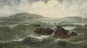 Gulls On A Rocky Outcrop by Thomas Rose Miles