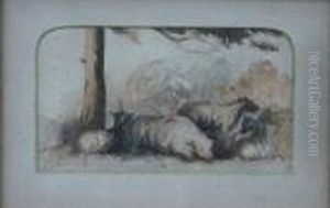 Study Of Sheep Under A Tree