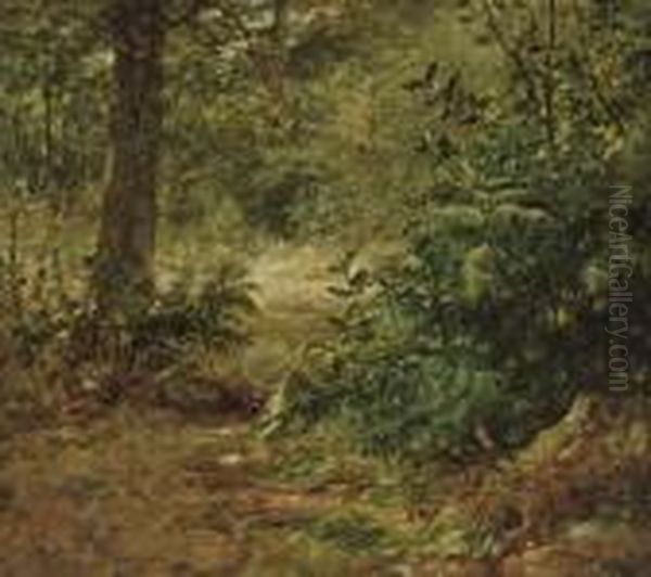 A Robin In A Woodland Landscape - view 1