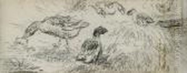 Feuille D'etude Avec Canards - view 1