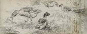 Feuille D'etude Avec Canards