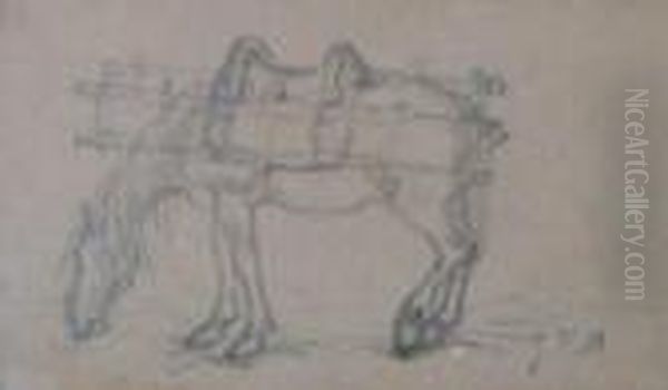 Etude De Cheval - view 1
