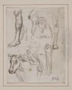 Croquis De Jambes