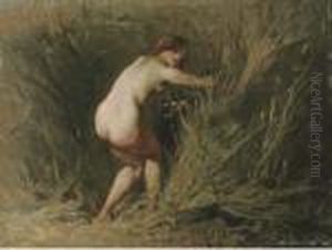 Nymphe Dans Les Roseaux