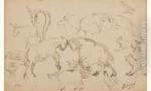 Etudes De Chevres, Cochon, Mouton, Chiens Et Poules by Jean-Francois Millet