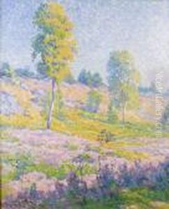 Foret De Fontainebleau Au Printemps
