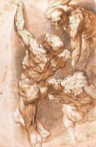 Anatomical studies Three nudes