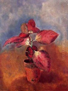 Begonia In A Pot