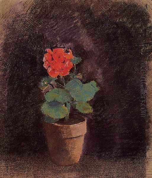 Geranium - view 1