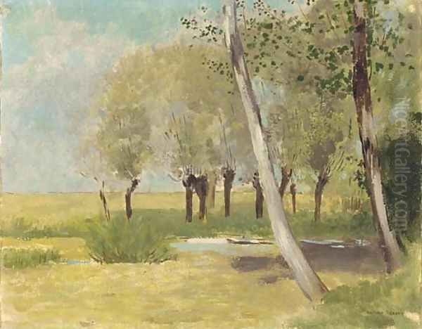 Les bouleaux en automne - view 1
