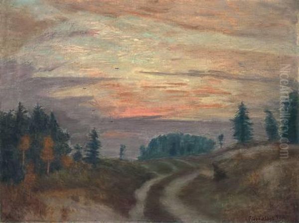"abendlicher Weg In Der Surheide" - view 1