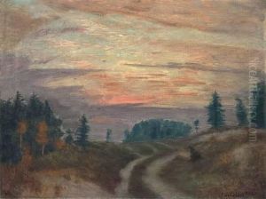 "abendlicher Weg In Der Surheide"