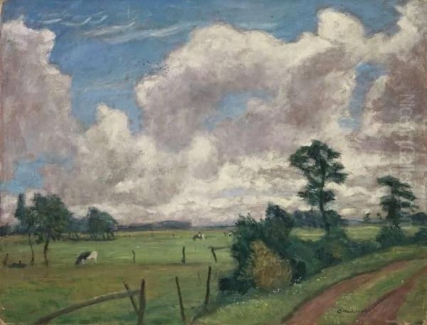 Sommerlandschaft Mit Grossen Wolken - view 1