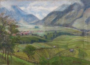 Blick Auf Hindelang (wiesen)