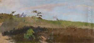 Moorgraben Mit Bluhenden Grasern