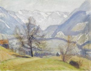 Vorfruhling Silbern Hintersteiner Berge