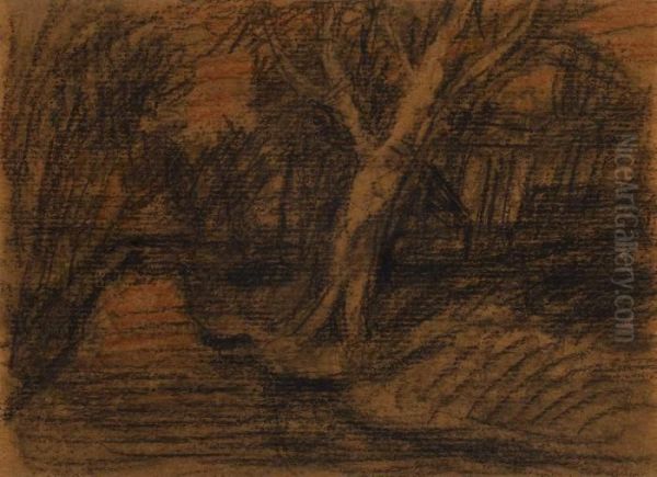 Baumlandschaft Mit Moorgraben - view 1