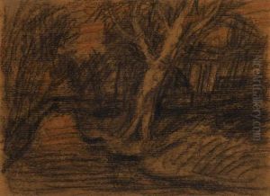 Baumlandschaft Mit Moorgraben