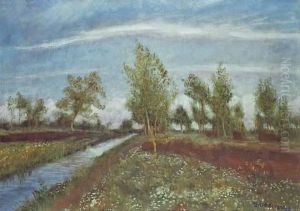 "fruhling Im Moor"