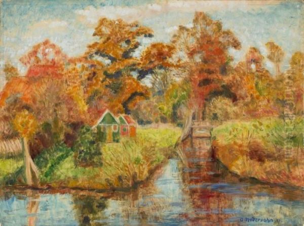 Herbstliche Moorlandschaft - view 1
