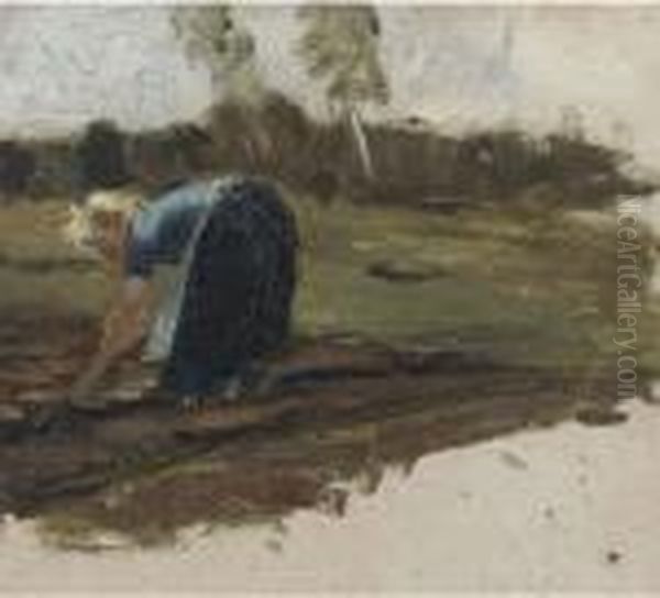 Woman At Work In The Field - view 1