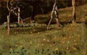 Paesaggio