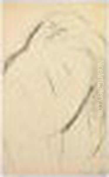 Portrait De Femme Se Coiffant - view 1