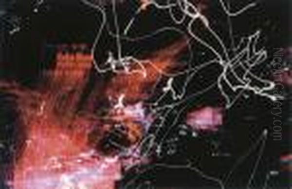 Selected Images - view 1