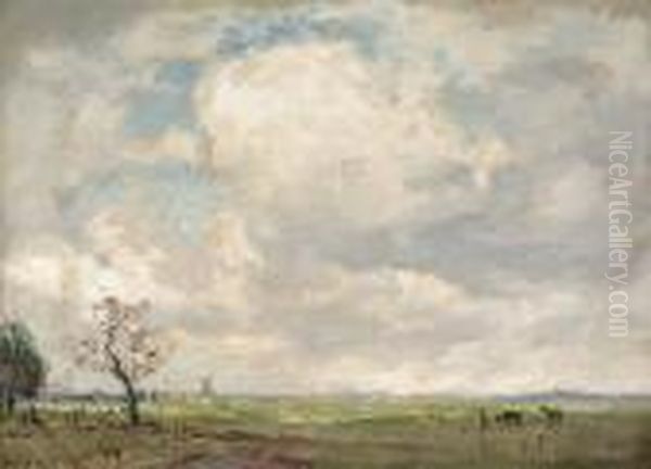 Landscape - view 1